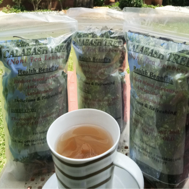 Calabash Tree ( Noni Tea Leaves)