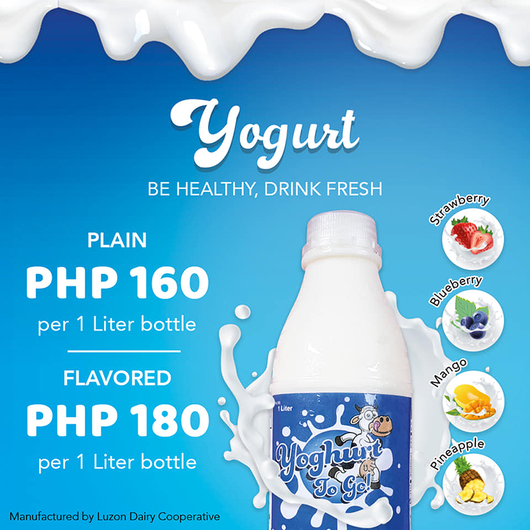 Luzon Dairy Yoghurt