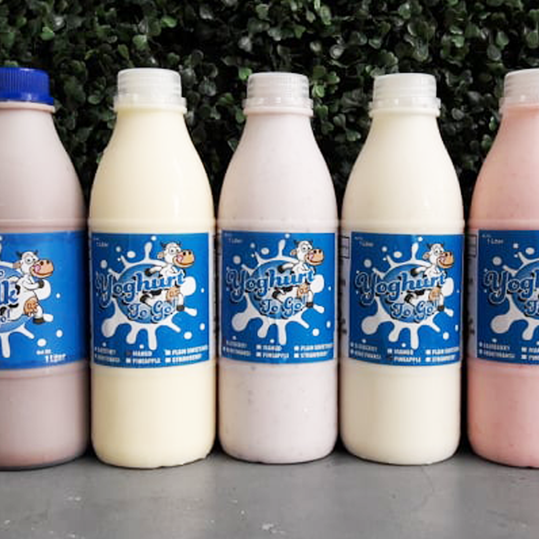 Luzon Dairy Yoghurt